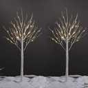 LIGHTSHARE 4 Feet 48L LED Birch Tree Lights, Pack of 2, Warm White, for Holiday Party and Christmas Decoration, Indoor and Outdoor Use