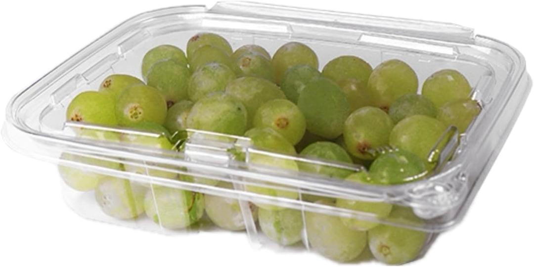 20 oz RPET Clear Hinged Lid Tamper Evident Container  200 Pcs