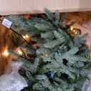 Balsam Hill BH Fraser Fir - Full Christmas Tree with Most Realistic True Needle Foliage, Easy Plug Technology & Multiple Height and Lighting Options, Clear Incandescent, 6.5ft
