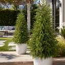4FT Artificial Norfolk Pine Trees Set of 2, UV Resistant Artificial Outdoor Plants with Warm White LEDs and Planters for Front Porch Entryway Patio Decor