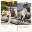 NOYAL Dog Lift Harness Sling - Adjustable Pet Carrier for Senior Dogs with Arthritis Joint Injuries, Emergency Support Rehabilitation Aid for Nail Trimming, Stairs Assistance M