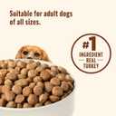 Nutrish Dry Dog Food, Turkey, Brown Rice & Venison Recipe for Weight Management, 5.5 Pounds