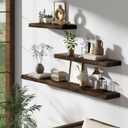Dreamland 55 Inch Floating Shelves for Wall, Solid Elm Wood Live Edge Wall Shelves for Living Room, Bedroom, Kitchen, Bathroom, Wall Mounted Long Floating Shelf Set of 1, Walnut
