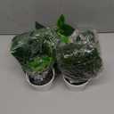 Der Rose 2 Pack Fake Plants Hanging Faux Potted Ivy Vine Artificial Plants Indoor for Room Bathroom Wall Shelf Outdoor Decor