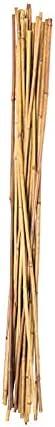 BAMBOO STAKE 36" 24PK