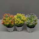Wildflowers Artificial Flower Arrangement in Pot for Home Office Decoration 8.5 x 6 inch 3 Pack
