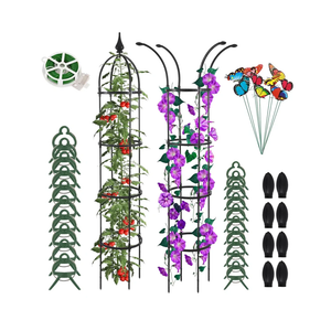 Obelisk Trellis for Climbing Plants Outdoor 6.6ft, Garden Tower Trellis for Potted Plants Indoor with Twist Tie, Clips and Butterflies Rustproof Coated Metal Support for Vines Rose 2Pack