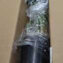 Bagari One 5 Foot Artificial Silk Bird of Paradise Palm Tree Potted Plant