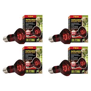 Exo Terra Heat-Glo Infrared Spot Lamp, 75-Watt/120-Volt (12 Pack)