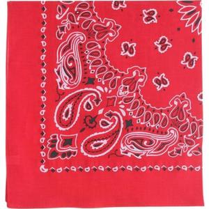 Trainmen Paisley Bandanas Scarf Do-rag Cotton Biker Head Rags Classic Bandanna 22" x 22" (12 Pack)