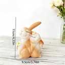Cute Bunny Couple Figurine Decor, Romantic Rabbit Statue for Spring Home Decor, Easter Bunny Tabletop Decoration for Living Room Shelf Desk, Bunny Couple Gift for Couples