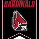 Rico Industries NCAA 18" X 24" Rafter Felt Pennant