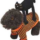 Petitebella Halloween Theme Pet Costume (Black Cat, Medium)