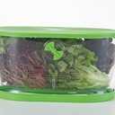 Prep Solutions by Progressive Lettuce Keeper Produce Storage Container, 4.7 Quarts, Green (LKS-06)