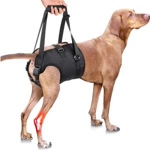 Dog Lift Harness - Adjustable Sling Support for Large Dogs Hind Legs, Mobility Aid for Elderly Dogs - Hip & Back Leg Joint Injury Assistant Vest - Help Senior Disabled for Walking,Large,Black