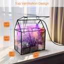 Plant Terrarium Kit with Grow Light, Rifny Small Glass Terrarium Jar with Absorbent Mat and Lid for Venus Fly Trap Succulent Live Air Plants Indoor Home Office Decor (Black, 7.1 x 4.8 x 8.8 inch)