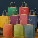 20-Packs Paper Bags with Handles Bulk 5.75" x 3" x 8.25" Medium Gift Bags 20 Different Senior Color Bags Multiple Uses (Medium Size） 