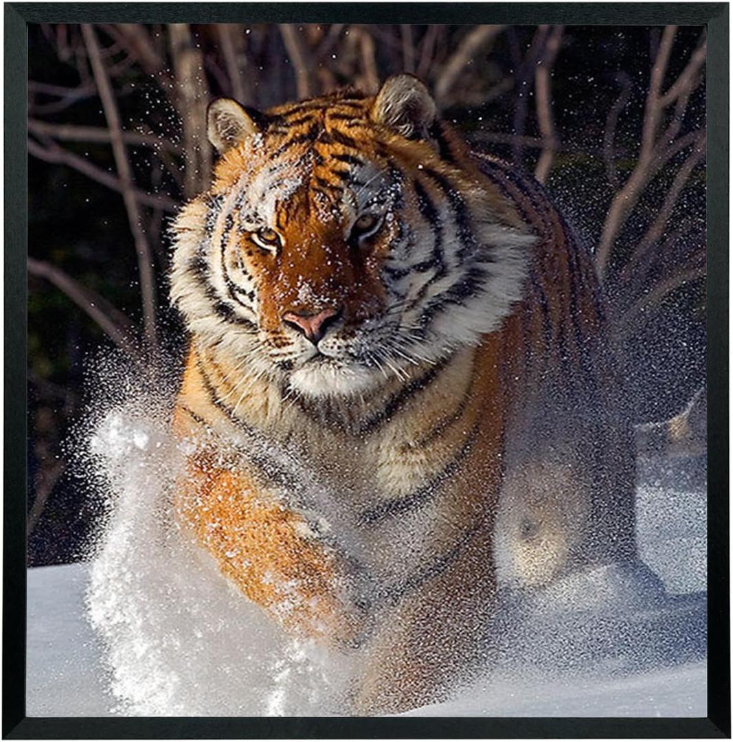 Mxtallup 22x23 Picture Frames Solid Wood Poster Frame for Wall 22x23 Photo Frames Family Black (T22B2223)