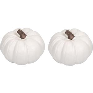 Elanze Designs Classic White 6 inch Resin Harvest Decorative Pumpkins Pack of 2