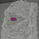 Avidlove Plus Size Lingerie Plus Floral Lace Scallop Trim Lingerie , Bra (22 Plus, White)  (Bra Only)