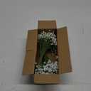 Baby's Breath Artificial Flowers Bulk 10 Pack (30pcs) Faux Baby Breath Plastic Flower Fake Gypsophila Flower Arrangement for Crafts Fake Flowers Bouquet for Wedding Centerpieces White Baby Breath