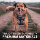 Embark Adventure No Pull Dog Harness, Reflective Trim No Pull Harness for Medium Sized Dog - Military Grade Nylon, Front Clip with Gel Lined Handle. Soft & Padded Puppy