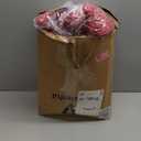 Wonderful Christmas Bedding, Luxury Red Velvet Quilt Set Queen Size, 5 Piece Striped Cotton Lightweight Comforter Set, Farmhouse Soft Reversible Coverlet Bedding Set with Matching Shams for All Season, Red