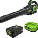 Greenworks 60V (610 CFM / 130 MPH) Cordless Leaf Blower, High Power, Lightweight & Quiet Operation for Wet Leaves, Driveways and Dense Gravel, Includes 2.5Ah Battery & 5A Rapid Charger