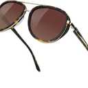 BIRCEN Polarized Sunglasses for Women UV - Protection Womens Retro Mirrored Shades with Acetate Frame BC2001