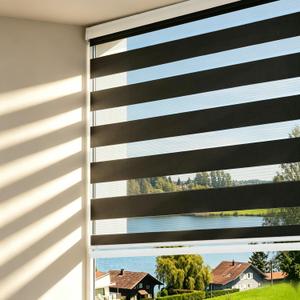 Changshade Cordless Zebra Blinds for Windows, Light Filtering Dual Layer Zebra Shades, Free-Stop Roller Blinds, Privacy Day Night Light Control for Bedroom Living Room Office, Black, 32" W x 48" H