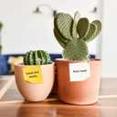 Amosfun 50Pcs Mini Wooden Clothespins 1.57 Inch Small Wood Clips with Jute Twine for Hanging Photos Tags Crafts and Home D Cor