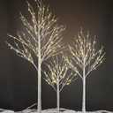 LIGHTSHARE LED Birch Tree Light Set - 4ft, 6ft, 8ft Trees with Warm White Lights - Indoor Outdoor Christmas Wedding Party Decorations (3-Pack)