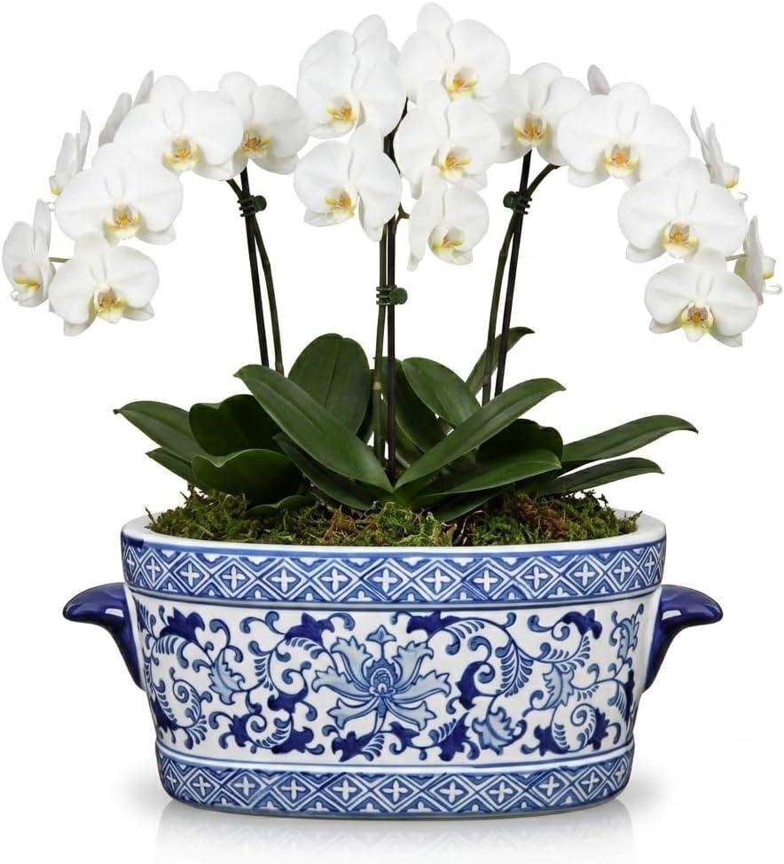 Blue and White Ceramic Planter Pot – Vintage Floral Oval Cachepot Vase for Indoor Plants, Flowers & Succulents – Glazed Porcelain Style Chinoiserie Décor –10.6" Size – No Drainage
