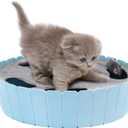Pawaboo Interactive Cat Toy With Running Mouse, Electronic Motion Automatic Teaser for Indoor Cats, Pop and Play Hide Seek Hunting Mouse for Pet Kitten Play Fun Exercise, Blue