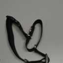 Waterproof Martingale Collar for Dogs,Easy to Clean Dog Collars with Safety Quick Release Buckle,Rubber Collar for Medium Large Dogs Walking Training (Black, L (19.6-25.9inch))