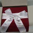 Majestic Cardinal Hand Painted Mouth Blown Glass Ornament Red