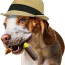 Beef Flavor Joint Dog Chew Toy for Medium/Large Breed Dogs, Indestructible Durable Long Lasting 100% Nylon Dog Chew Toy for Aggressive Chewers - Funny Cigar Dogs Toys to Keep Them Busy