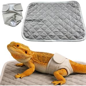 Bearded Dragon Diaper Accessories with Reusable Pad, Adjustable Wearable for Short Handling and Travel, Bearded Dragon Accessories, Reptile Travel Carrier Essentials (Grey)