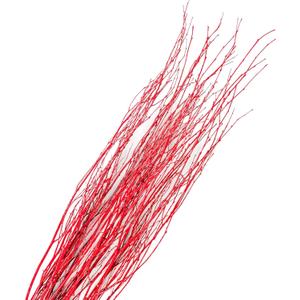 Branches for Vase, 3'4' Natural Birch Tree Branches for Decoration, Bundle of 10 Tall Decorative Sticks for Vases, Rustic Wood Branches for Crafts, Weddings, Seasonal & Home Dcor - Red