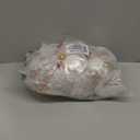 Skylety 36 Pcs Photo Ornament Ball Christmas 3.54" Clear Plastic Hanging Photo Frame Ornament Family Picture Baubles for Christmas Tree Valentine Gift Decoration (Snowflake)