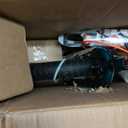 RoyalBaby Kids Bike Freestyle Classic 12 14 16 18 Inch Children Bicycle for Ages 3-10 Years Toddler to Big Kids (Green)