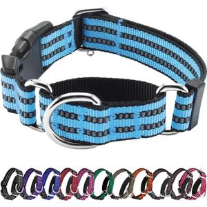 Hikiko Martingale Dog Collars Reflective Nylon Dog Collar with Quick Release Buckle Adjustable Training No Slip Dog Collar (Medium, Light Blue)