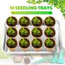 FillTouch 10 Pcs Stainless Steel Seed Starter Tray, 10.6 x 7.9 x 1.4 Inch