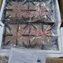 THOR Kitchen Professional 36-inch Cooktop/Rangetop in Stainless Steel - Model TGC3601