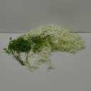 12 Pcs, Hanging Wisteria Vines Silk Flower Stem - Ivory for Wedding Reception, Baby Shower, Bridal Shower, Sweet 16 Celebration