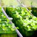 Halatool 1.5 Inch Rockwool Cubes Garden Stonewool Grow Cubes Starter Plugs for Hydroponics Soilless Cultivation Seedlings Cuttings Clone Plants Germination Start (4 Sheets, 196 Plugs in Total)