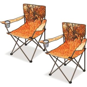 Northroad 2Pack Folding Camping Chairs Portable Animal Print Collapsible Hunting Chair for Outdoor Travel, Patio, Beach, Fishing - Zebra, 1.71 Ft X 1.71 Ft X 2.8 Ft