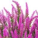 2 x 10 Bundles Fake Flowers Artificial Lavender Plants, Fuchsia | Faux plastic plants for home wedding kitchen garden patio porch window box office table centerpieces indoor outdoor decor