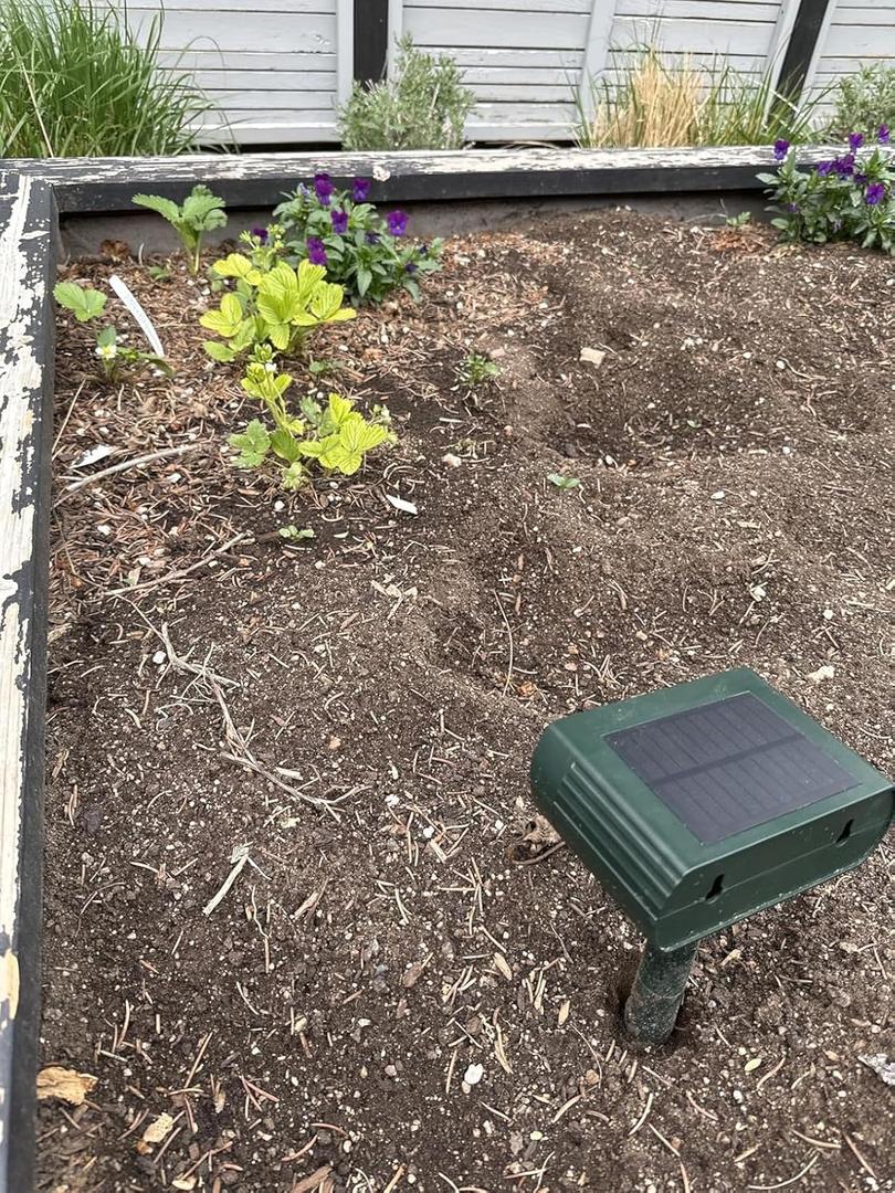 Solar Ultrasonic Animal Repellent Outdoor