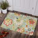 Lahome Collection Modern Floral Area Rug - 2X 3 Non-Slip Colorful Vintage Throw Area Rug Accent Distressed Floor Carpet for Living Room Bedrooms Decor (2X 3, Paisley)